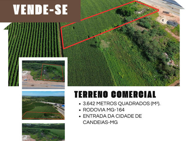 #134 - Área para Venda em Candeias - MG - 1